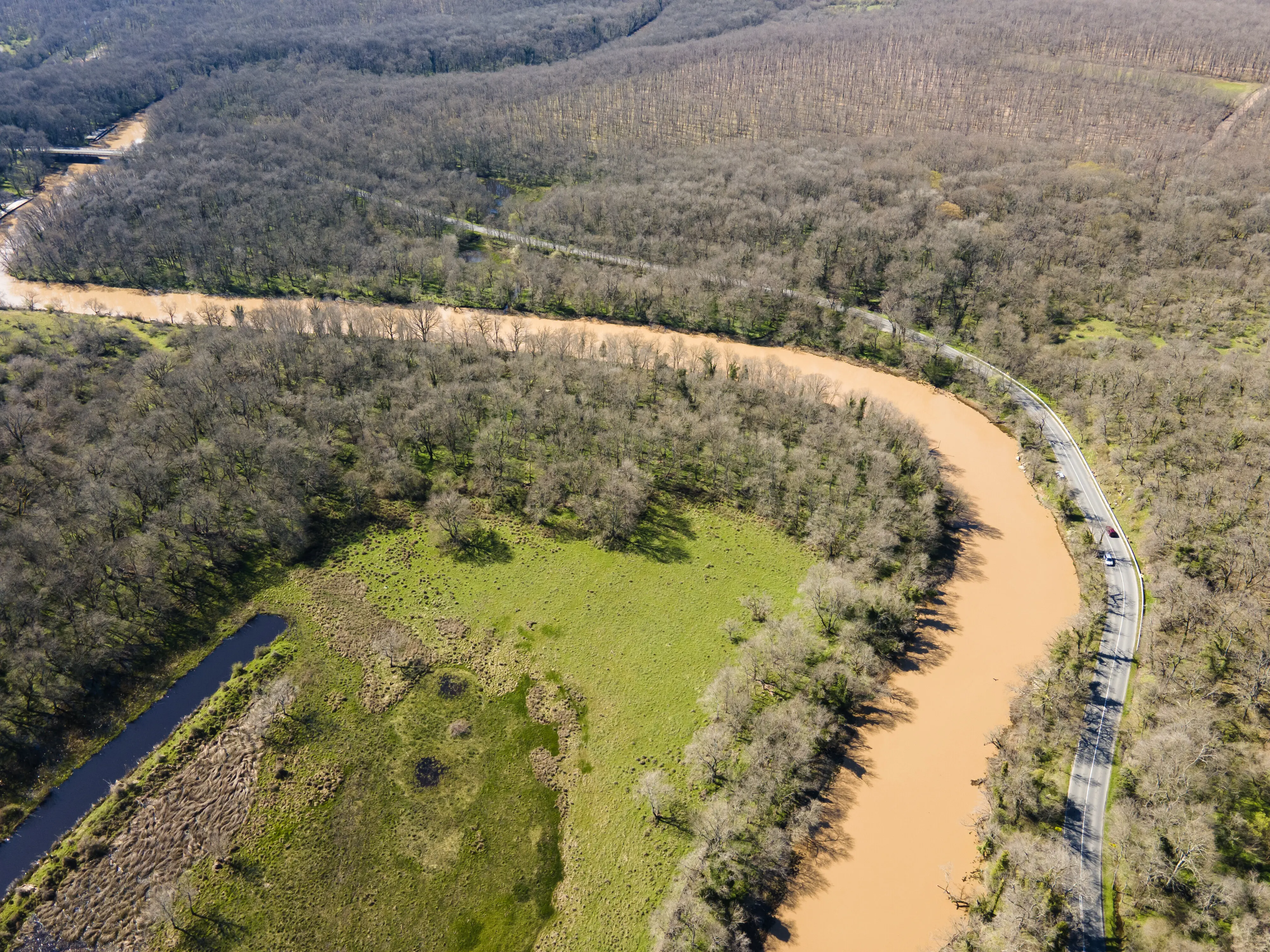 An aerial view of the Ropotamo River in the Arkutino region of Bulgaria.