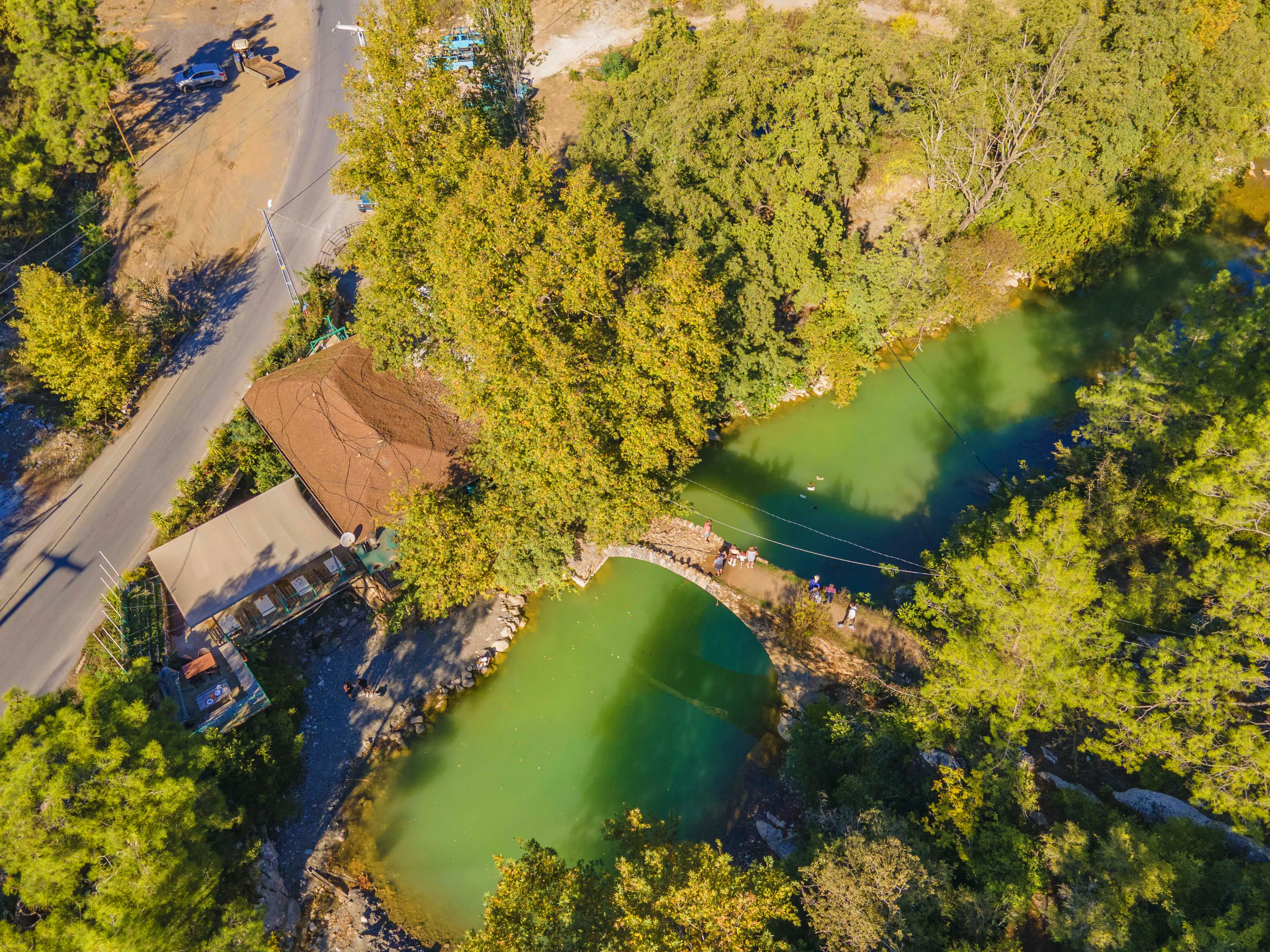 A view of the lake in the park