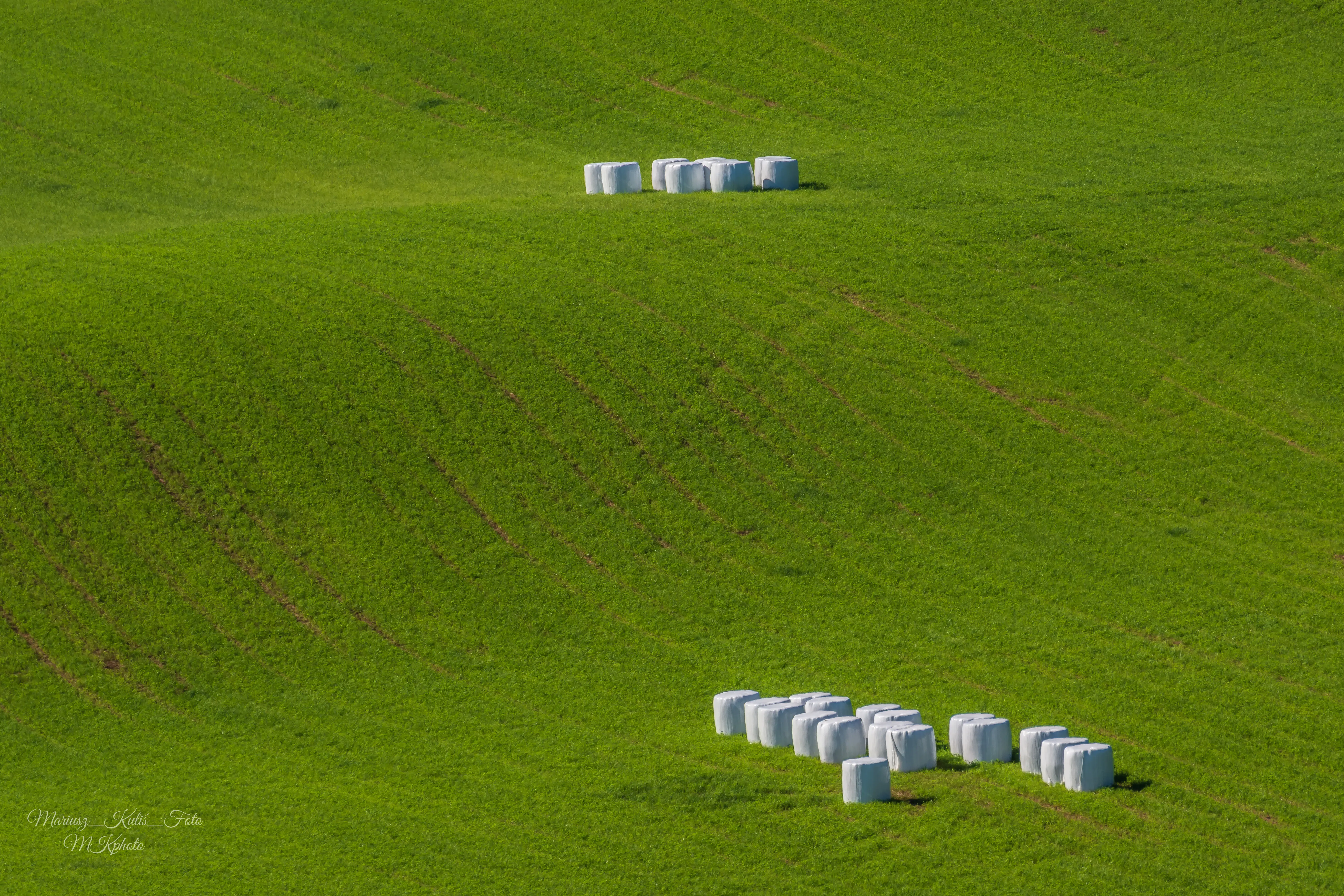 View from above of green chairs on a field